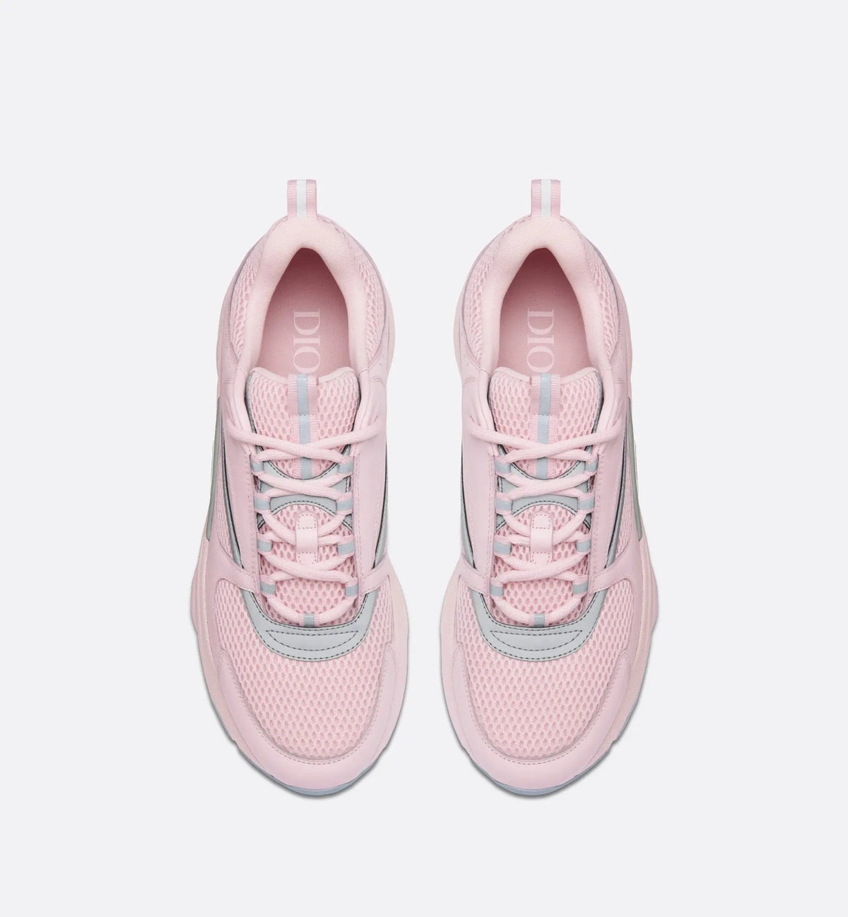 Dior B22 Rose