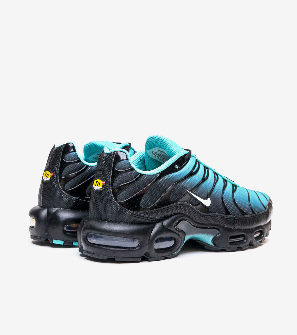 Nike Air Max Plus Light Retro Blue